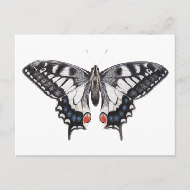 Swallowtail 2012 postcard (Front)