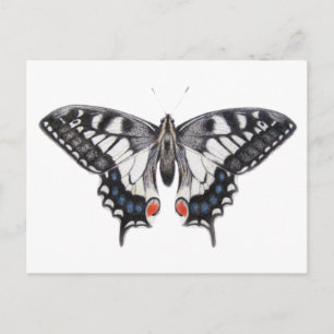 Swallowtail 2012 postcard