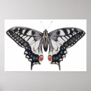 Swallowtail 2012 poster