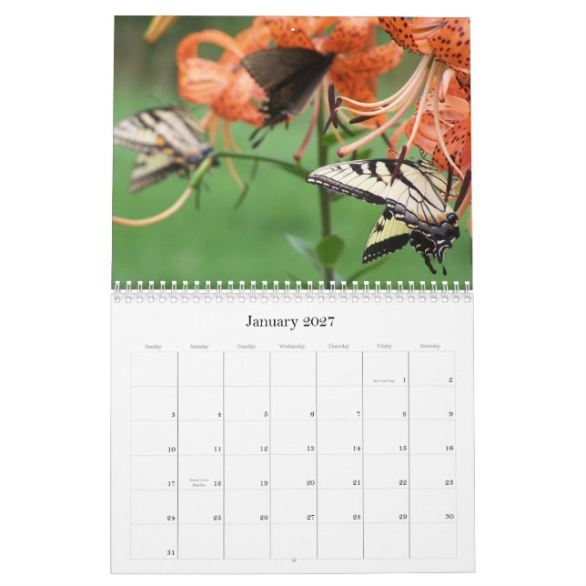 Swallowtail Butterflies, 2009 Calendar (Jan 2027)