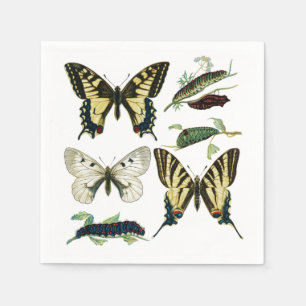 Swallowtail Butterflies, Caterpillars and Moth Napkin