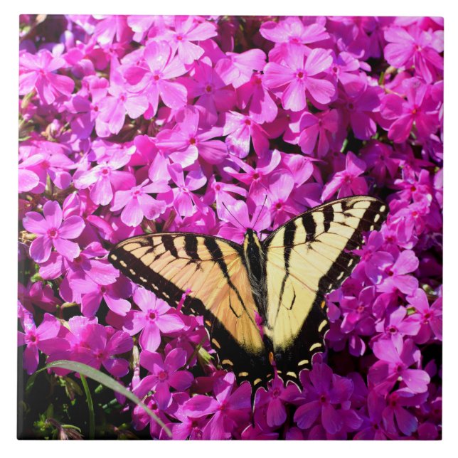 Swallowtail butterfly at flower bed tile (Front)