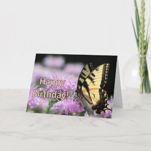 Swallowtail butterfly birthday wishes card