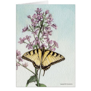 Swallowtail Butterfly by Michael Martin