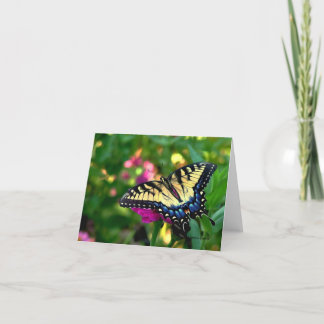 Swallowtail butterfly card