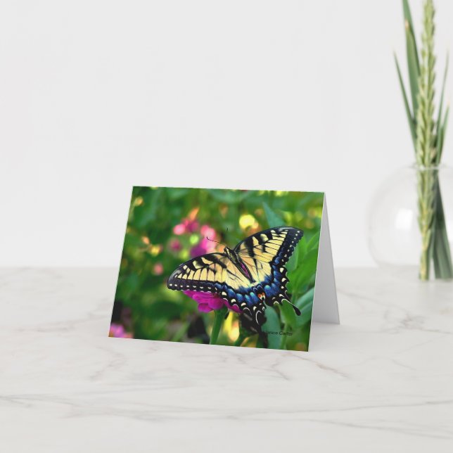 Swallowtail butterfly card (Front)