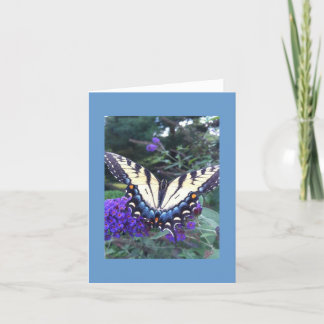 Swallowtail Butterfly Card 2