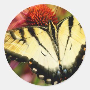 Swallowtail Butterfly Classic Round Sticker