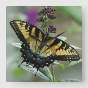 Swallowtail Butterfly Clock