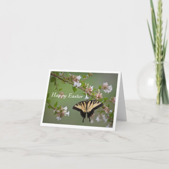 Swallowtail Butterfly Easter Greeting Card (Front)