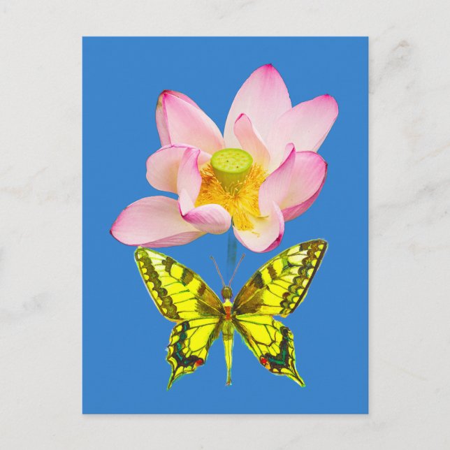 Swallowtail butterfly figure holiday postcard (Front)