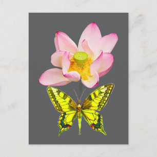 Swallowtail butterfly figure postcard