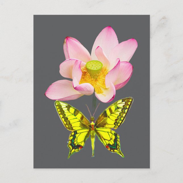 Swallowtail butterfly figure postcard (Front)