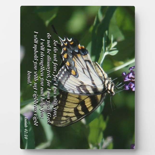 Swallowtail Butterfly Flower Bible Photo Plaque (Front)