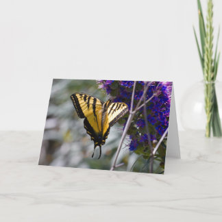Swallowtail Butterfly Greeting Card