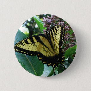 Swallowtail Butterfly I on Milkweed at Shenandoah 6 Cm Round Badge