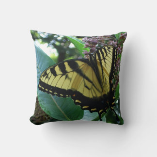 Swallowtail Butterfly I on Milkweed at Shenandoah Cushion