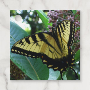 Swallowtail Butterfly I on Milkweed at Shenandoah Favour Tags