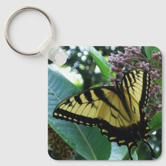 Swallowtail Butterfly I on Milkweed at Shenandoah Key Ring
