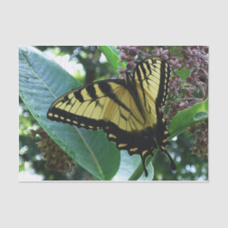 Swallowtail Butterfly I on Milkweed at Shenandoah Tissue Paper