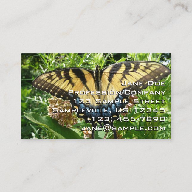 Swallowtail Butterfly II at Shenandoah Business Card (Front)