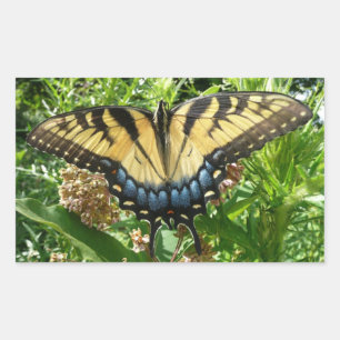 Swallowtail Butterfly II at Shenandoah Rectangular Sticker