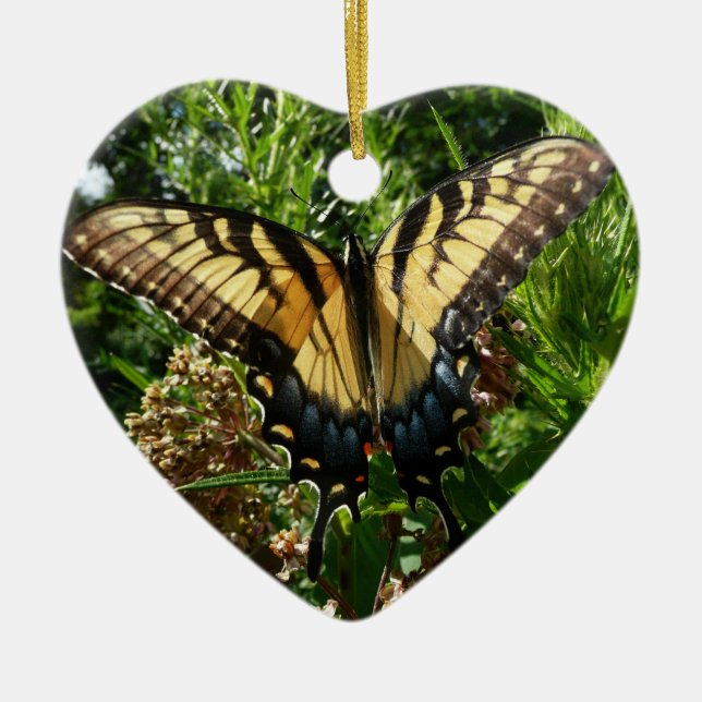Swallowtail Butterfly III Beautiful Colourful Phot Ceramic Tree Decoration (Front)
