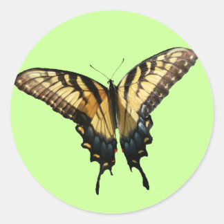Swallowtail Butterfly III Beautiful Colourful Phot Classic Round Sticker