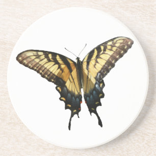 Swallowtail Butterfly III Beautiful Colourful Phot Coaster