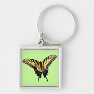 Swallowtail Butterfly III Beautiful Colourful Phot Key Ring