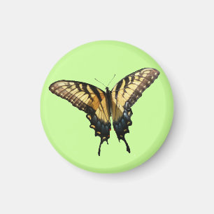 Swallowtail Butterfly III Beautiful Colourful Phot Magnet