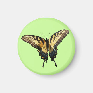 Swallowtail Butterfly III Beautiful Colourful Phot Magnet