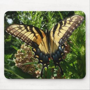 Swallowtail Butterfly III Beautiful Colourful Phot Mouse Pad