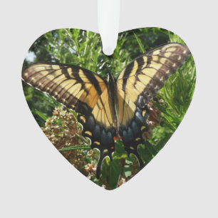 Swallowtail Butterfly III Beautiful Colourful Phot Ornament