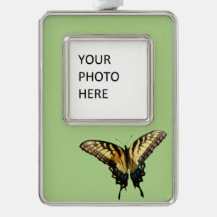 Swallowtail Butterfly III Beautiful Colourful Phot Silver Plated Framed Ornament