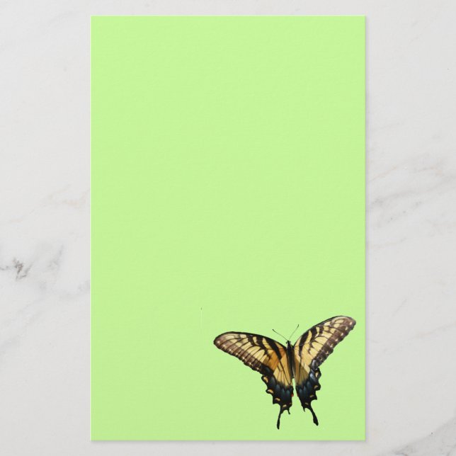 Swallowtail Butterfly III Beautiful Colourful Phot Stationery (Front)