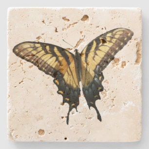 Swallowtail Butterfly III Beautiful Colourful Phot Stone Coaster