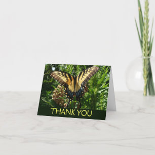 Swallowtail Butterfly III Beautiful Colourful Phot Thank You Card