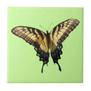 Swallowtail Butterfly III Beautiful Colourful Phot Tile