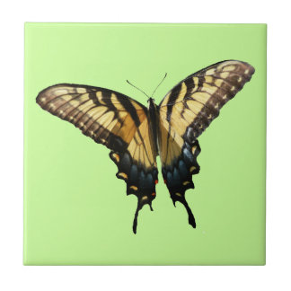 Swallowtail Butterfly III Beautiful Colourful Phot Tile