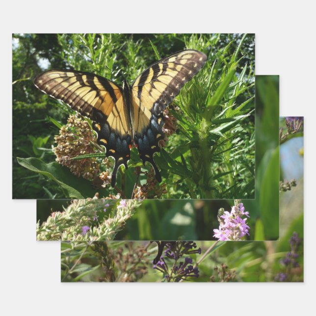 Swallowtail Butterfly III Beautiful Colourful Phot Wrapping Paper Sheet (Set)