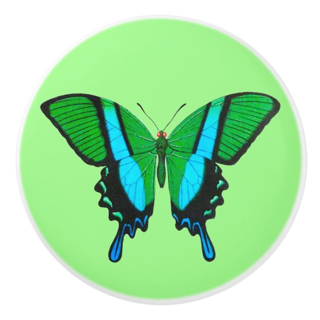 Swallowtail Butterfly in Green, Turquoise & Black Ceramic Knob (Front)