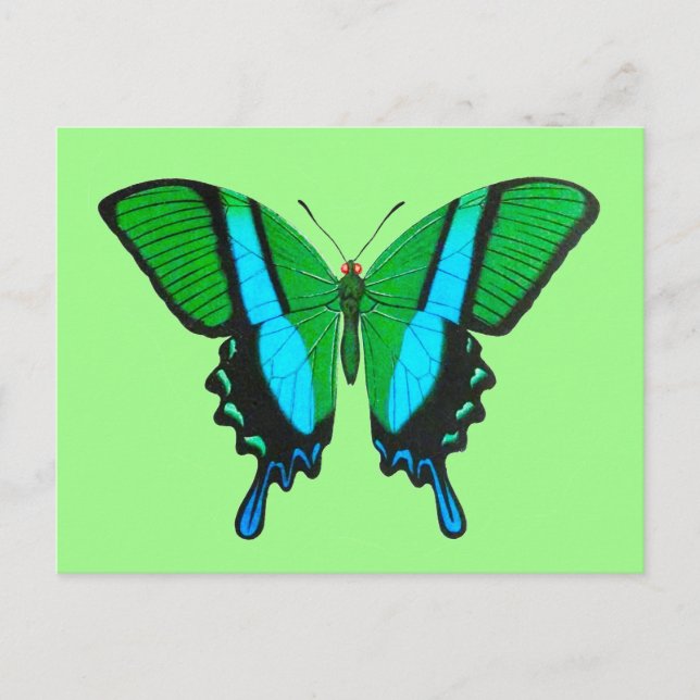 Swallowtail Butterfly in Green, Turquoise & Black Postcard (Front)