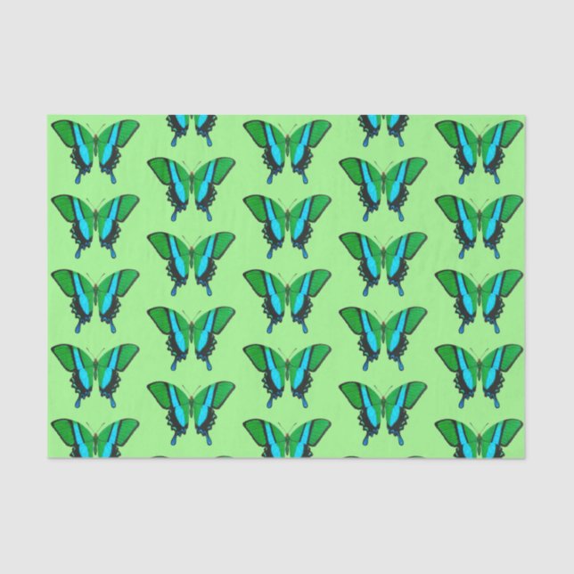 Swallowtail Butterfly in Green, Turquoise & Black Tissue Paper (Front)