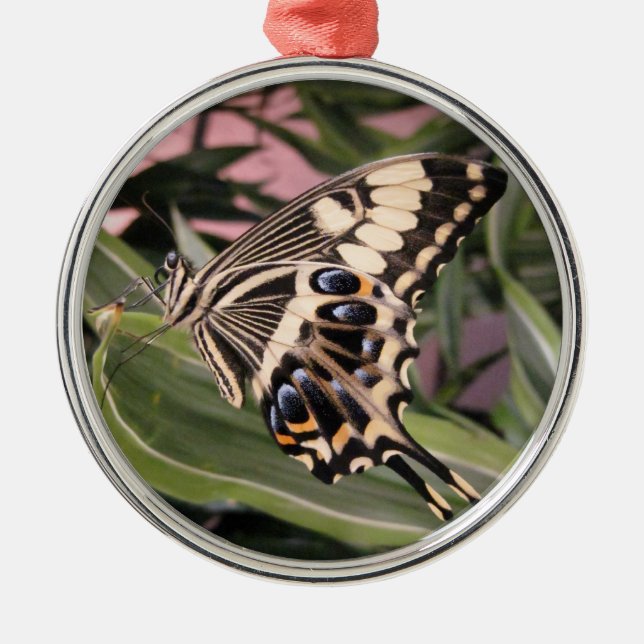 Swallowtail Butterfly Metal Tree Decoration (Front)