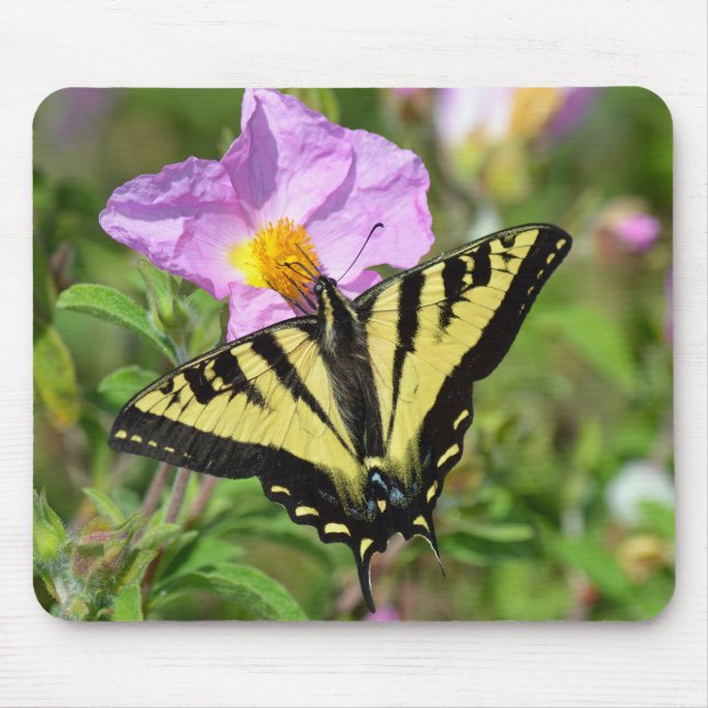 Swallowtail butterfly mouse pad (Front)