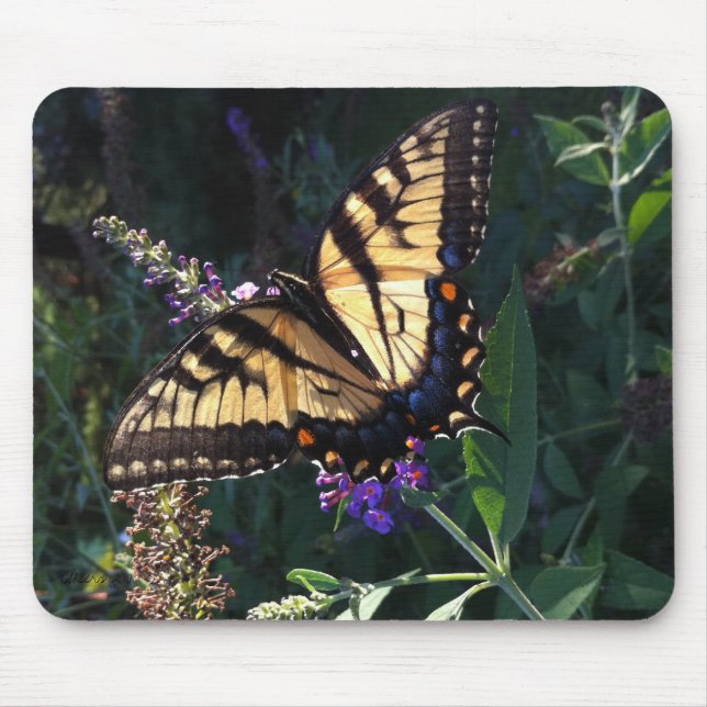 Swallowtail Butterfly Mousepad (Front)