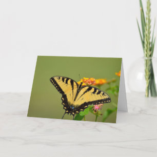Swallowtail Butterfly Notecard
