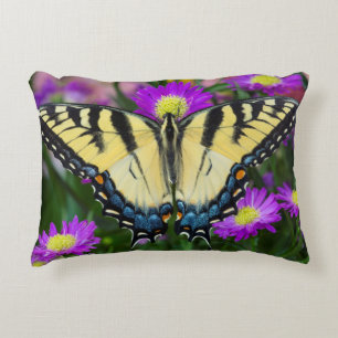 Swallowtail Butterfly on daisy Decorative Cushion