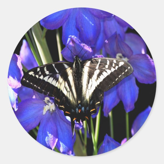 Swallowtail Butterfly on Delphiniums Classic Round Sticker (Front)